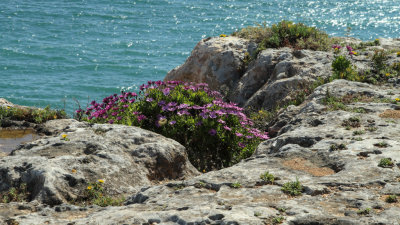 Portugal- Algarve