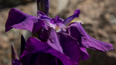 5DI_6078-LR.jpg