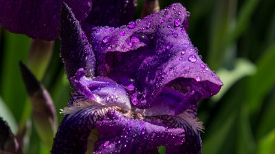 5DI_6085-LR.jpg