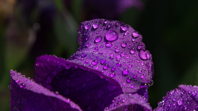 5DI_6088-LR.jpg