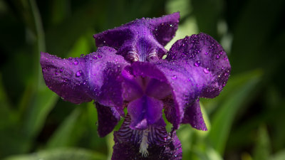 5DI_6089-LR.jpg