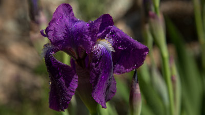 5DI_6107-LR.jpg