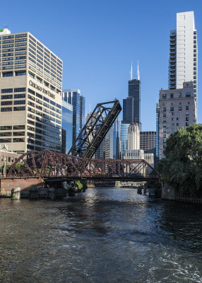 Chicago River / Willis Tower