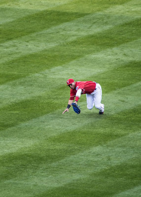 Leonys Martin