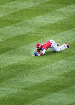 Leonys Martin