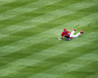 Leonys Martin
