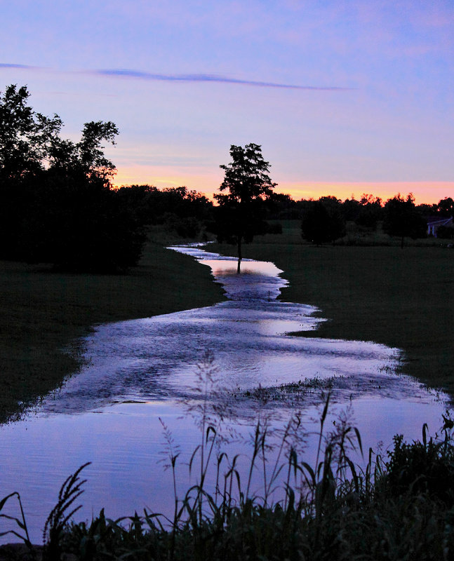 Mayo creek is swollen out of its banks after several days of heavy rain in Central Ky 