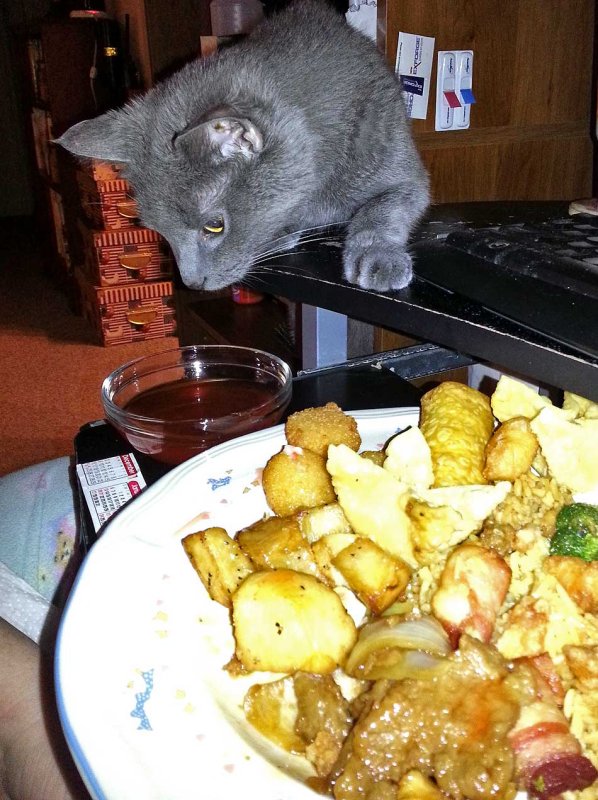Just a creepin...never turn your back on dinner! 
