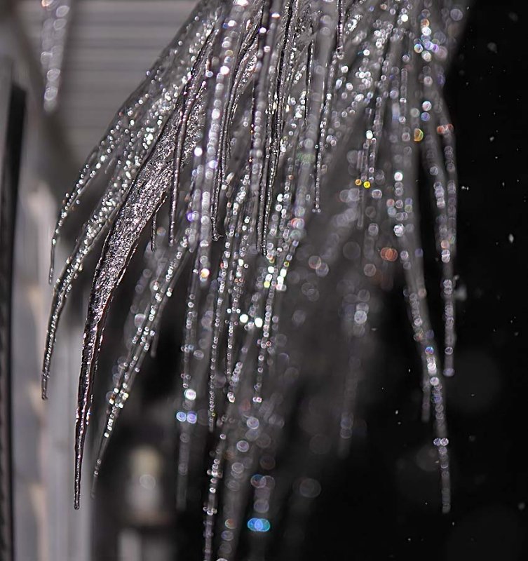 Night Ice 