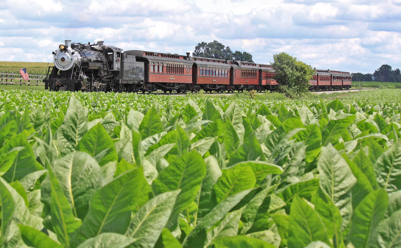 A steam powered passenger train in the tobacco..American through & through! 