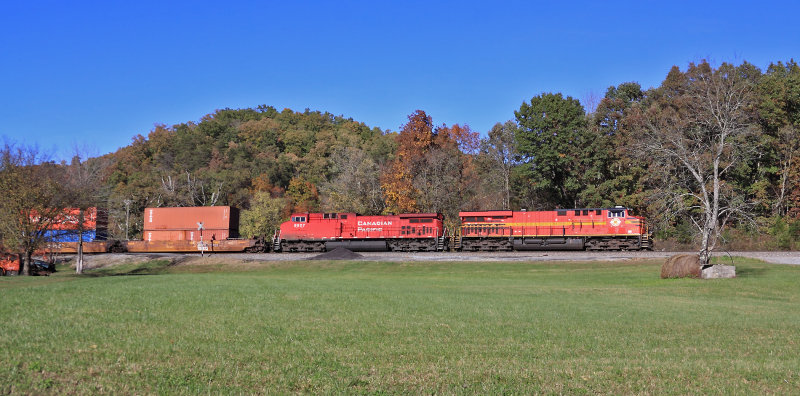 NS 295 is already diggin  for the steep climb up to Kings Mountain. The picture is level...the train is not!