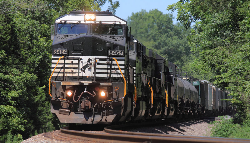 NS 111 in the Salt River Bottom near McBrayer 