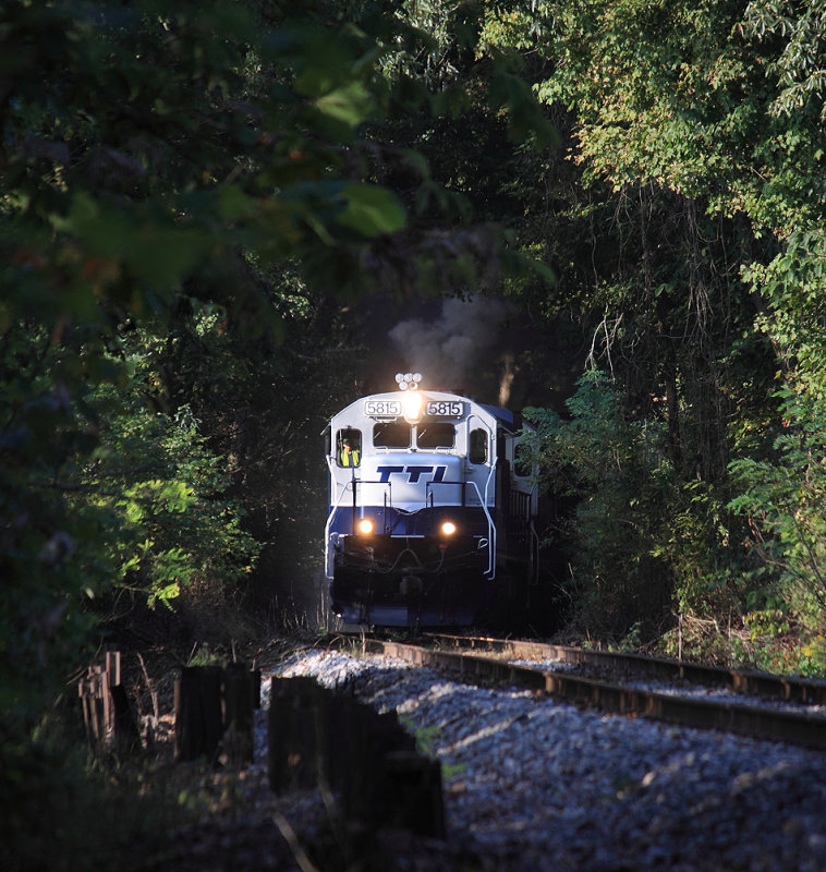 TTI 5815 emerges from a tree tunnel and finds a sliver of sunlight at Pleasant Valley 
