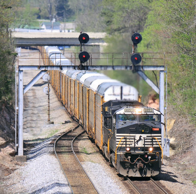 NS 275 comes South under the signal bridge at Whitley, with 10,000 feet of racks in tow 
