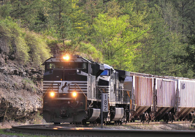 NS 174 running for the law at Parkers Lake...the (hours of service) law would soon win.. 
