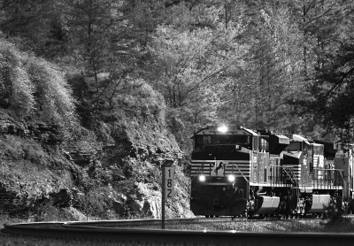 Sun, Shadow and EMD... Northbound 174 starts through the cut at Parkers Lake Ky, 
