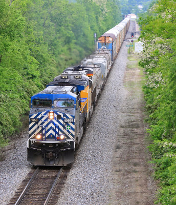 A CEFX Bluebird on the point of Eastbound NS 376 at Harrodsburg 