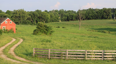 Bondville Landscape 