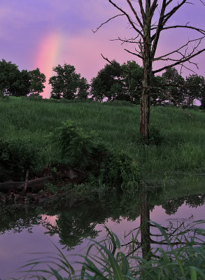 A rainbow in the evening sky during a brief respite from the rain and flooding 