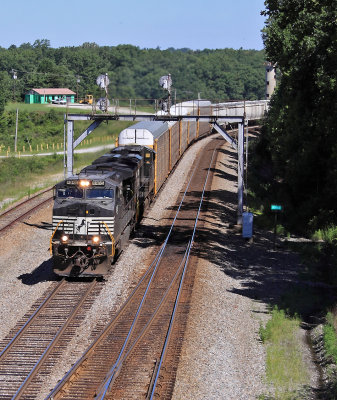 A standard issue catfish leads 197 through the interlocker at Revilo 