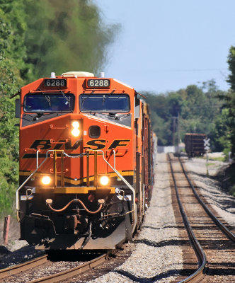 A BNSF swoosh logo GE brings NS 143 down the tangent at Pine Knot 