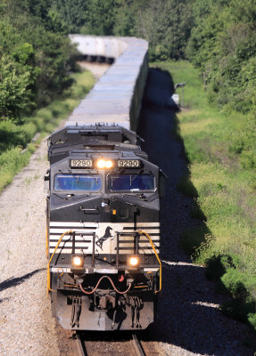 Northbound Triple Crown 264 heads into the morning sun between Wiborg and Cumberland Falls 