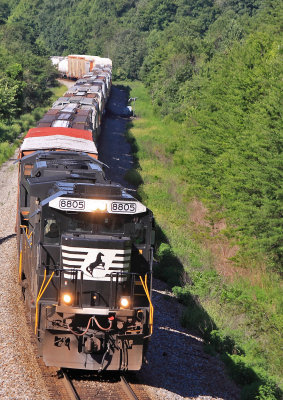 A freshly painted spartan cab D9 leads Northbound 116 down the hill near Parkers Lake 