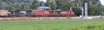 NS 116 at Bowen with a pair of CP units leading 