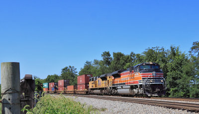 Espee 1996 leads NS 223 South at Palm 