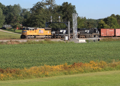 The Goldenrod accents the yellow EMD as NS 167 gets on the move at Bowen on a cool September morning 