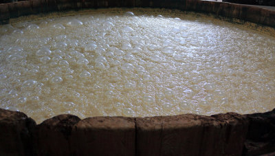 A fresh batch of mash, just begining to show signs of life 