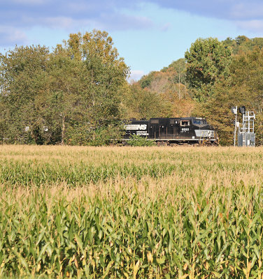 Southbound 54X rolls through the corn at the Green River Dip near Southfork KY 