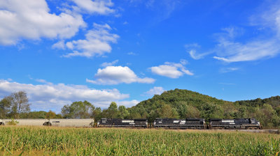 A Southbound grain train rolls through the corn fields in the Green River Dip. 