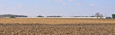 The entire 150 cars of Triplecrown 260 stretch out across the barren corn fields near Rockfield 