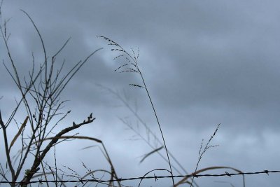 Winter Storm Clouds, Barbed wire and grass 