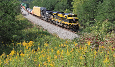 Virginian 1069 has a good roll on Northbound 224 as the train passes through Goldenrod covered hills near Parkers Lake, Ky 