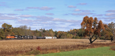 Train 111 sits among the Brown corn of Fall at Bowen, waiting on the Dog Catcher to take it to Burnside 