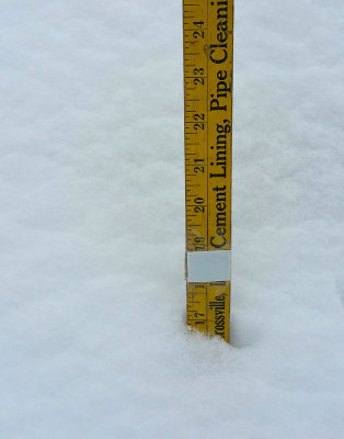 snowtotal-021515.jpg