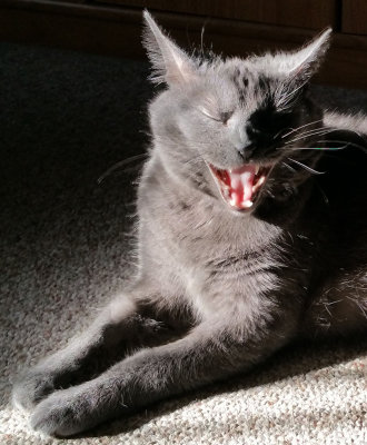 The light...it burns!