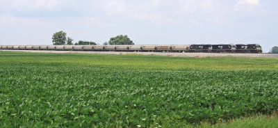 Loaded grain train 48A heads South through the soybean fields near Campbellstown