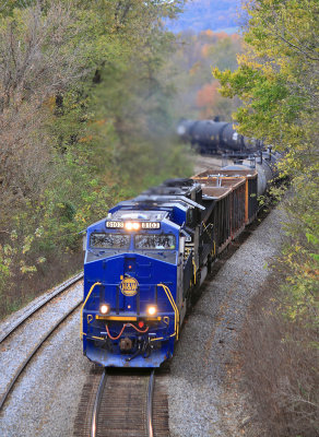 N&W 8103 leads NS 167 as the train drags up the West slope of Waddy Hill 