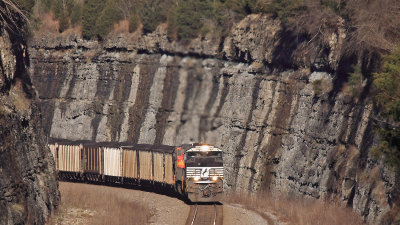 Loaded TVA coal train 894 climbs the grade at Kings Mountain 