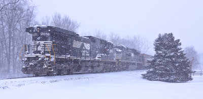 The DPs on NS 709 at Talmage 