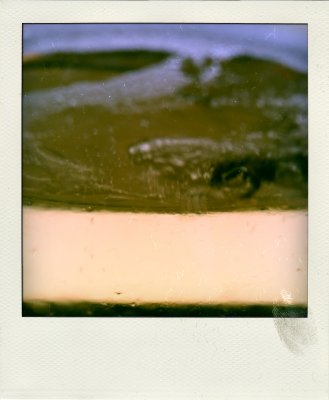 Poladroïds 2015