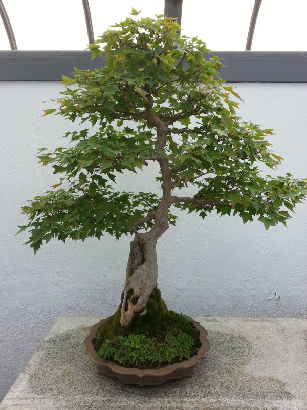 20130908_151509.jpg