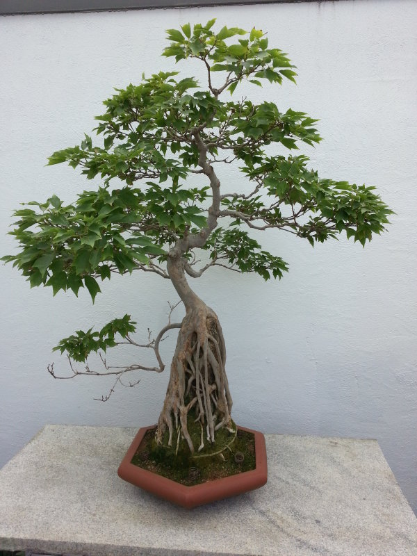 20130908_151530.jpg