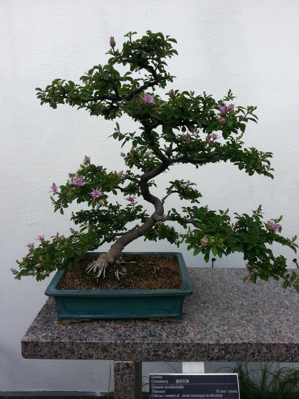 20130908_152721.jpg