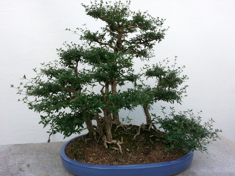 20130908_152747.jpg