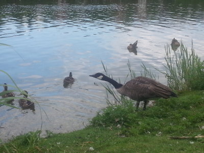 20140809_140612 1.jpg