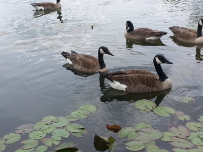 20160604_124039.jpg